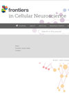 Frontiers in Cellular Neuroscience封面